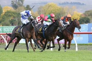 Felaar (NZ) (Ekraar) picked up his first stakes win in the Listed Hawke’s Bay Cup. Photo: Trish Dunell